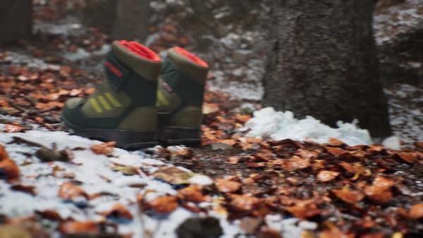 Verde Sapatilhas para a Neve COLD.RDY TERREX