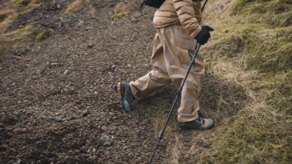 Brun Terrex Skychaser GORE-TEX vandresko