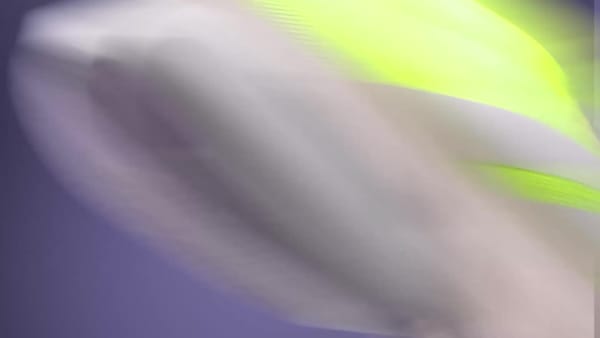 สีเหลือง รองเท้า Adizero Boston 13