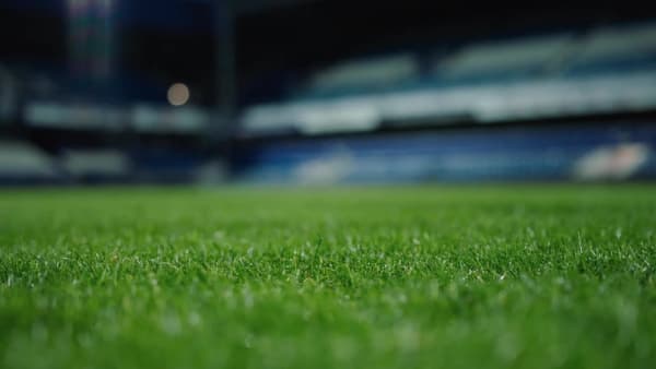 firm ground soccer field