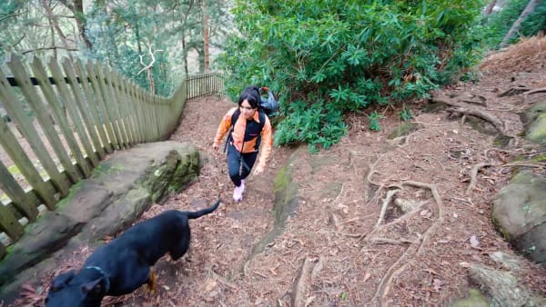 Roxo SAPATILHAS DE CAMINHADA BCA FREE HIKER 2 TERREX