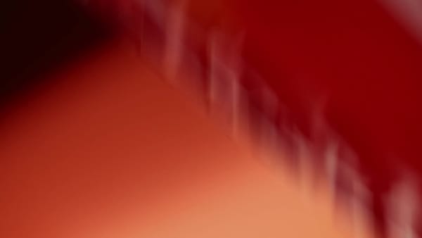 Beyaz Terrex Agravic 3 Arazi Koşu Ayakkabısı