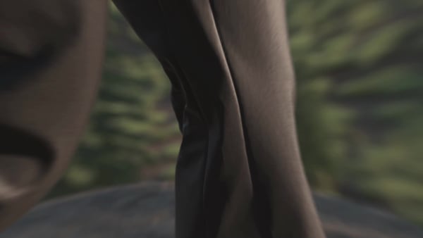 Negro Pantalón de Senderismo Terrex Liteflex
