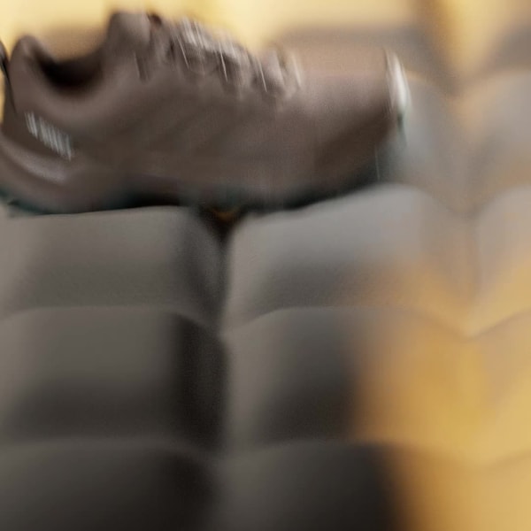 Marron Chaussure de randonnée Terrex Skychaser Ax5