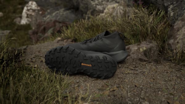 cerná Boty Terrex Agravic GTX Trail Running