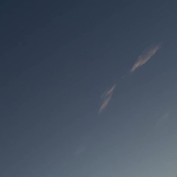 สีเหลือง รองเท้า Wales Bonner Adios Neftenga