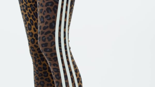 adidas Leopard 3-Stripes Legging - Multicolor | Free