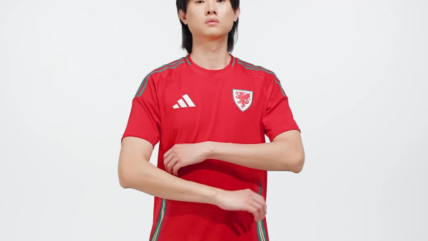 Red Wales 24 Home Jersey