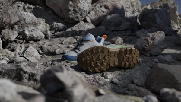 Grey Terrex Ax4r Hiking Shoes
