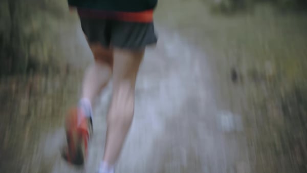 Orange Terrex Soulstride Trail Running Shoes