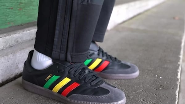 samba og predator