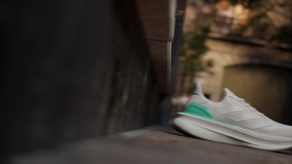 Xam Giày Ultraboost 5x