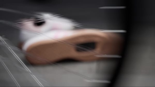 Hvid Velosamba Leather sko