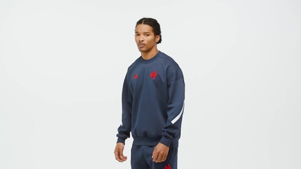 Bla Frankrig Travel sweatshirt