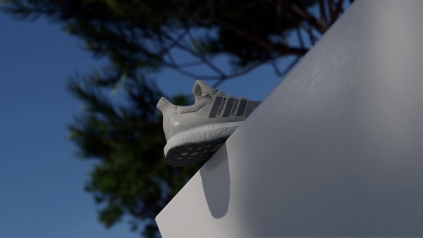 Gris Chaussure Ultraboost 1.0
