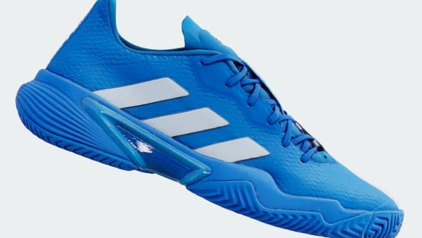 Introducir 65+ imagen blue tennis shoes