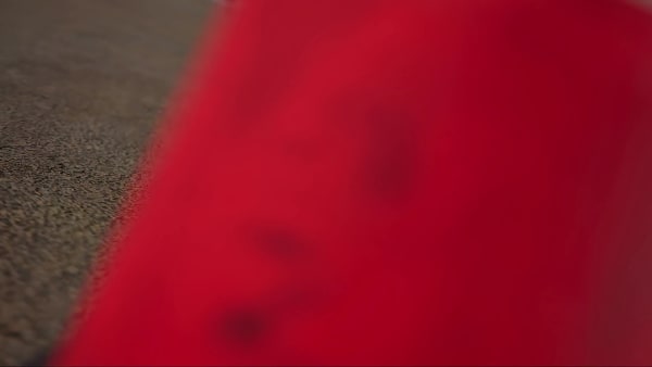 rood Adizero Adios Pro 4 Schoenen